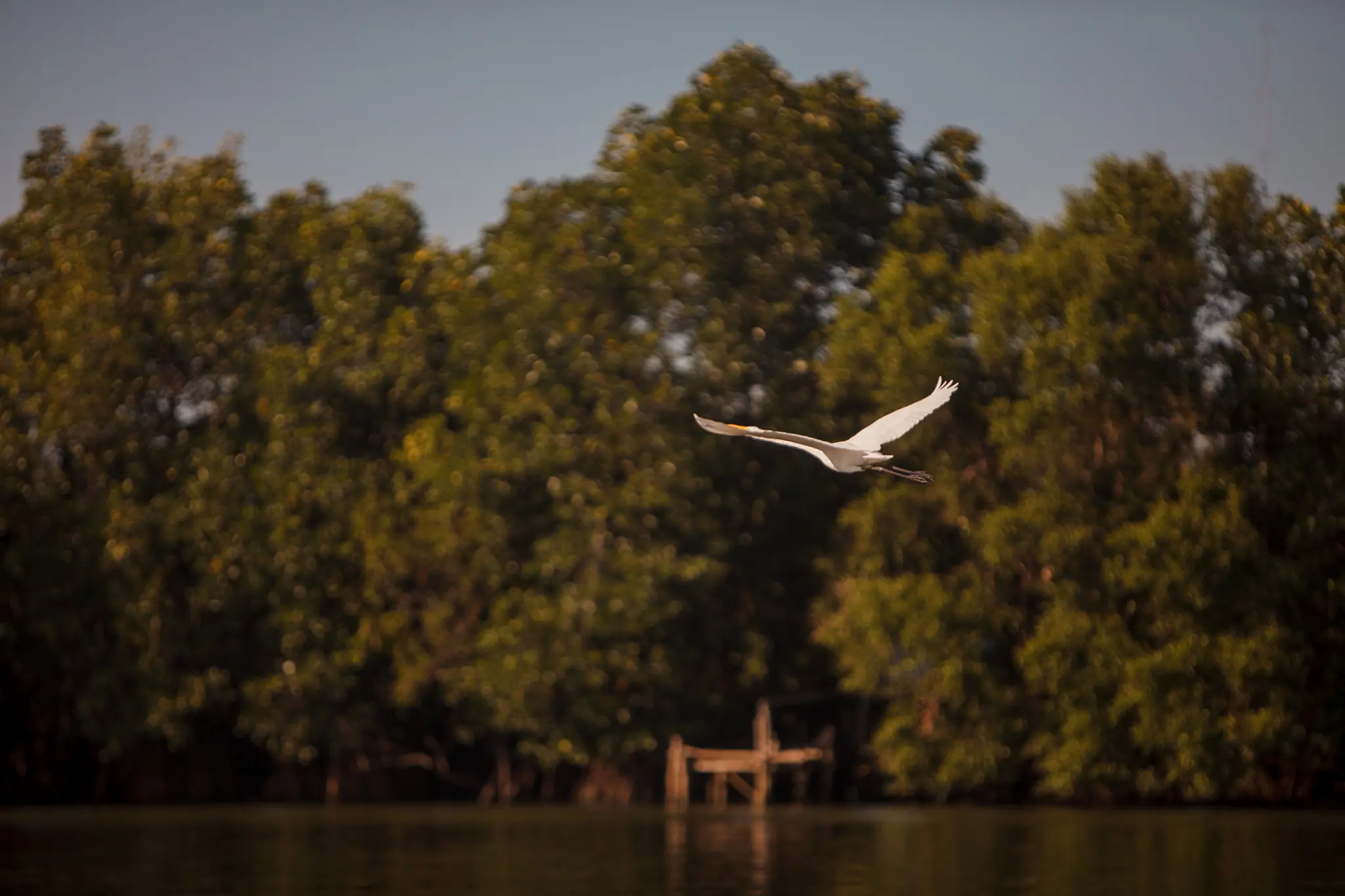 SMC - Better Rivers PH